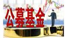 汪浪升任宝盈基金副总经理 老牌公募迎接新机遇